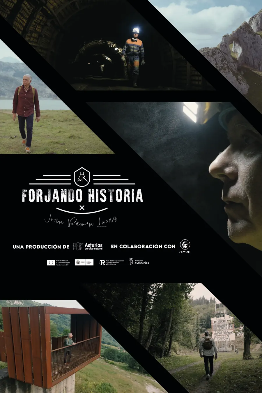 Cartel de Forjando Historia